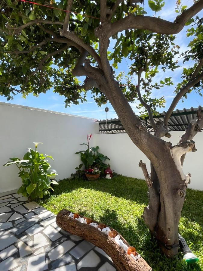 Sunny Beach House Corinth Εξωτερικό φωτογραφία